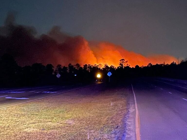 Wildfires Force Evacuations Across Carolinas as State of Emergency Declared in South Carolina