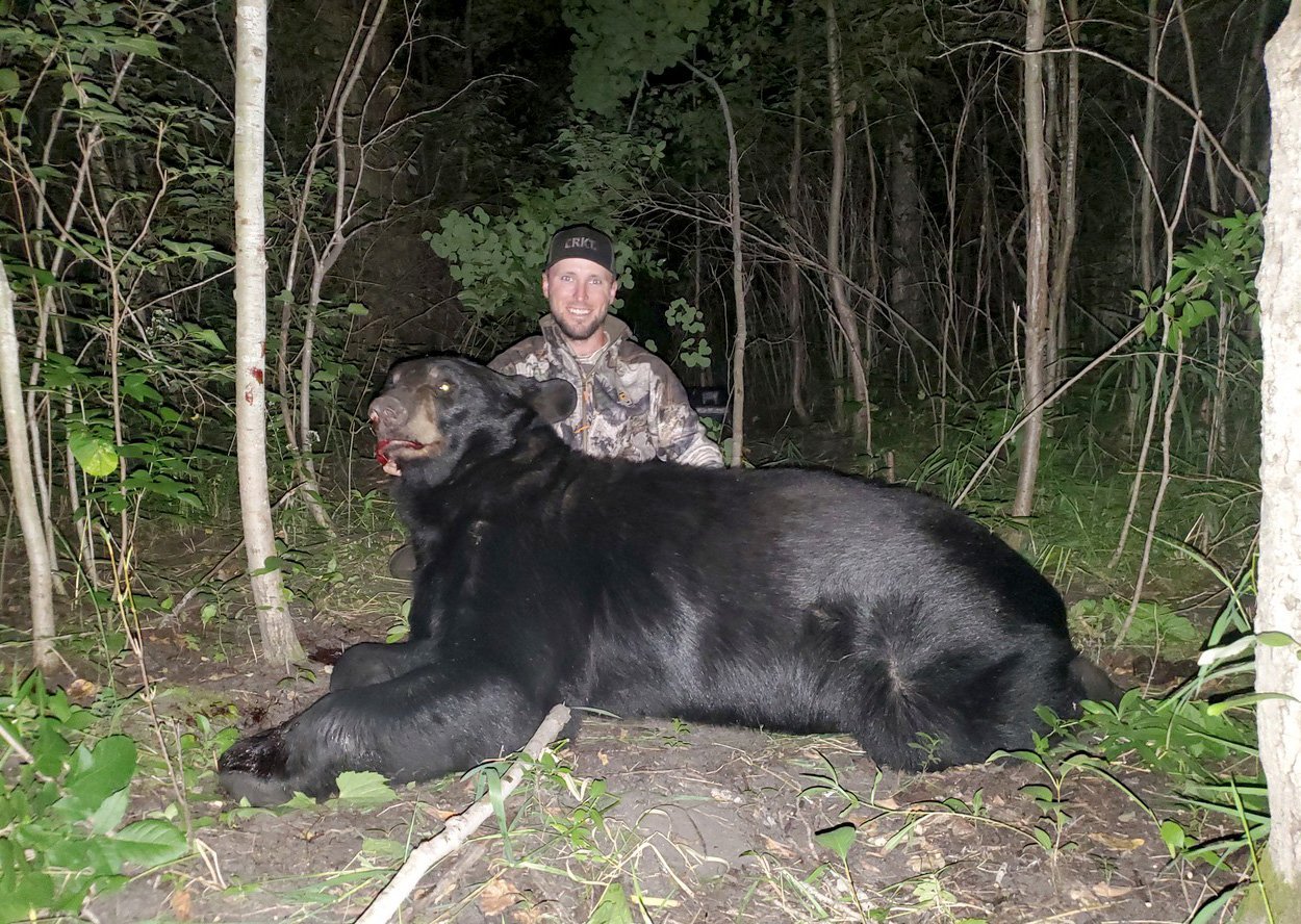 Minnesota Hunter Produces 560-Pound Bear in Zone 31 as Early Season Yields Average Results