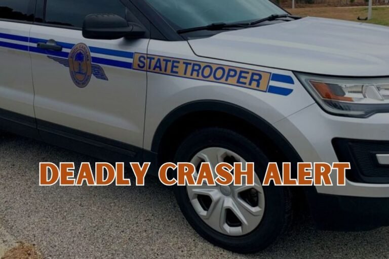 Driver Killed in Overnight York County Crash, Troopers Say