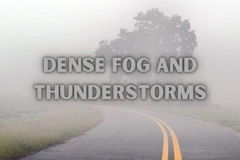 Indiana Weather Alert: Dense Fog and Thunderstorms Pose Risks for Indianapolis Roads