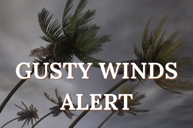 GUSTY WINDS ALERT