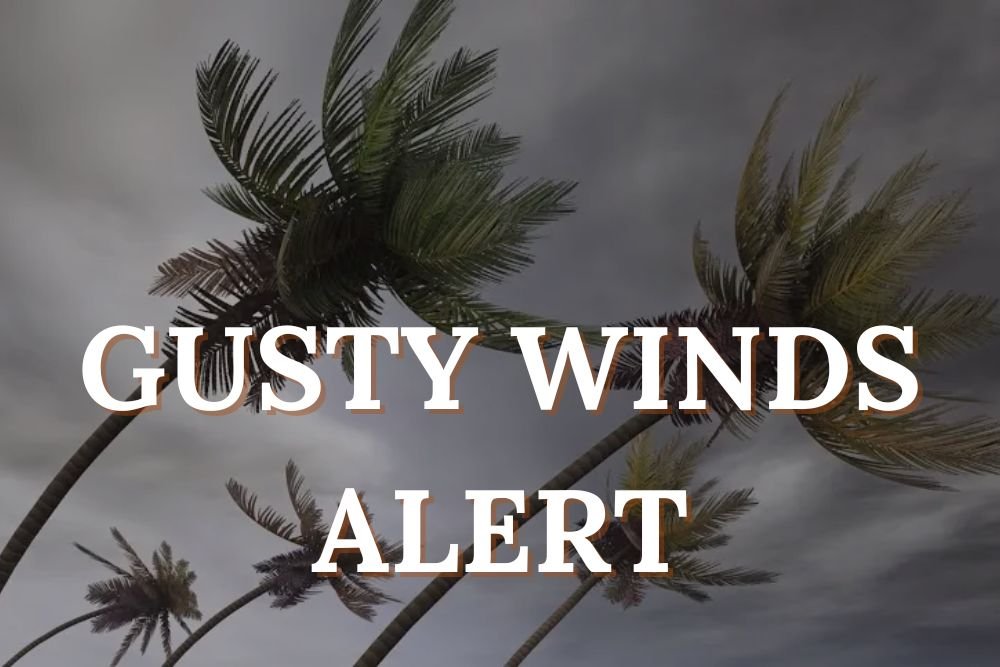 GUSTY WINDS ALERT