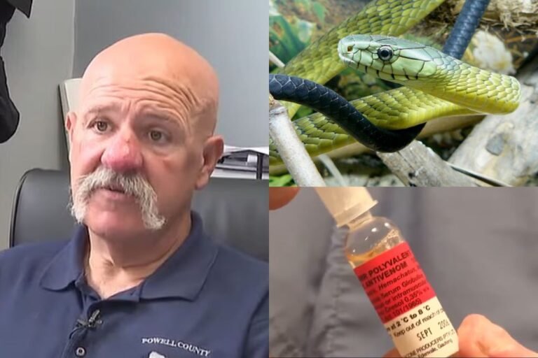Kentucky Paramedics Face License Loss After Administering Antivenom to Snakebite Victim