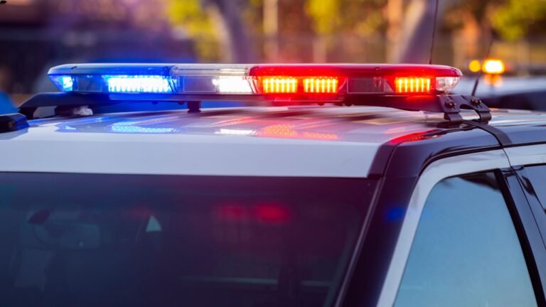Lake Tahoe Gang Crackdown: 15 Arrested Across California and Nevada in Multi-State Drug Investigation