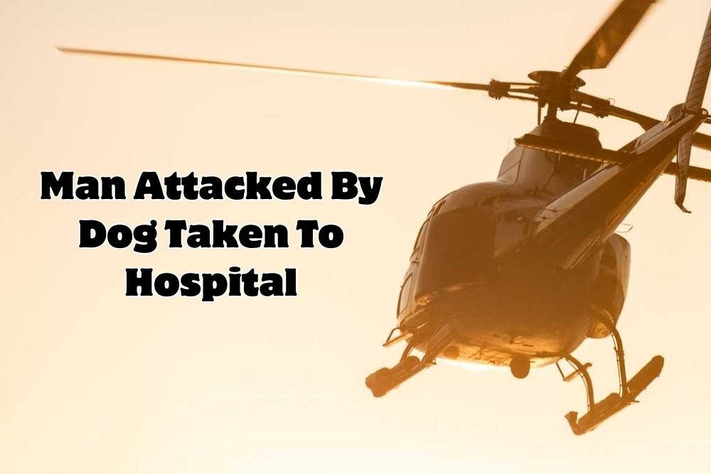 Dog Attack in Laurens County Sends South Carolina Man to Hospital by Helicopter