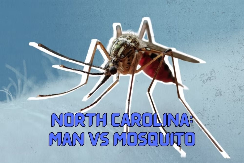 Man vs. Mosquito: How North Carolina is Fighting to Contain Mosquito-Borne Diseases