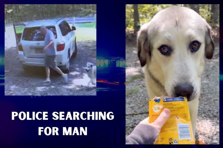 Georgia Rescue Searching for Man Who Abandoned Injured Dog on Rural Road