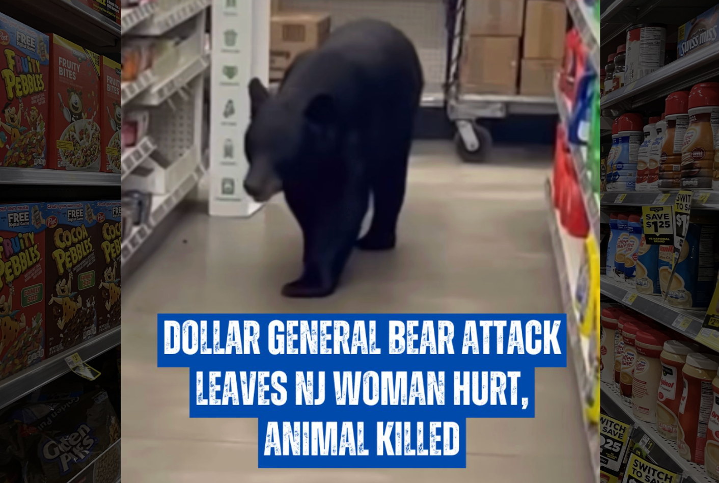 90-Year-Old Woman Shrugs Off Run-In With Bear Inside New Jersey Dollar General