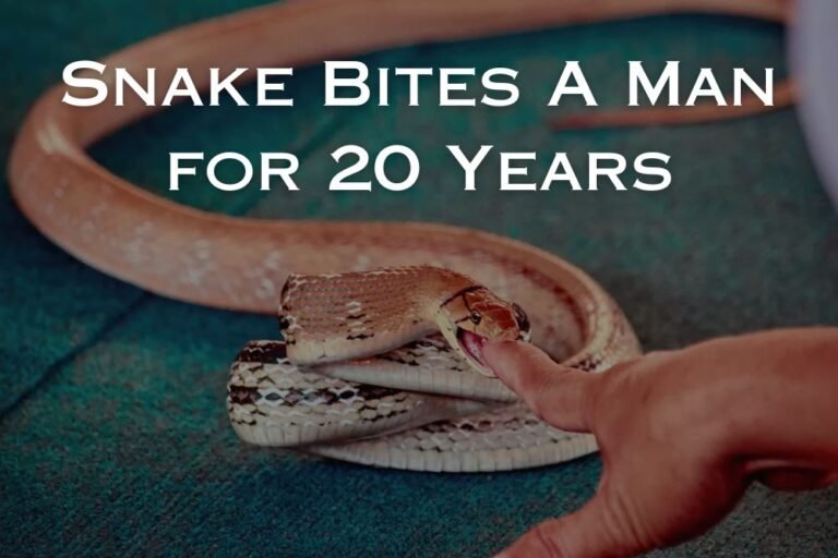 Wisconsin Man Who Let Snakes Bite Him for 20 Years Helps Scientists Create Universal Antivenom