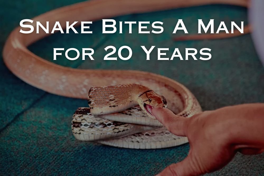Wisconsin Man Who Let Snakes Bite Him for 20 Years Helps Scientists Create Universal Antivenom