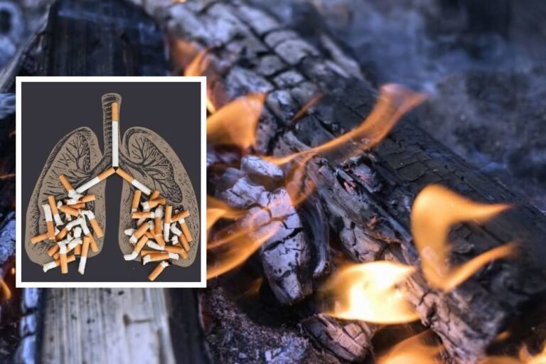 Study Warns Indoor Wood Burners May Damage Lungs Similar to Cigarette Smoke