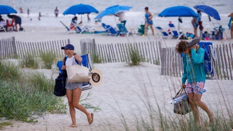 Unique Beach Oddities Explained Along the Myrtle Beach Coast