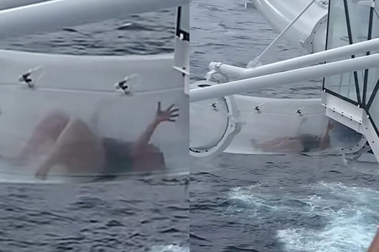 Viral TikTok Shows Cruise Passenger Stuck Inside Water Slide Over the Ocean