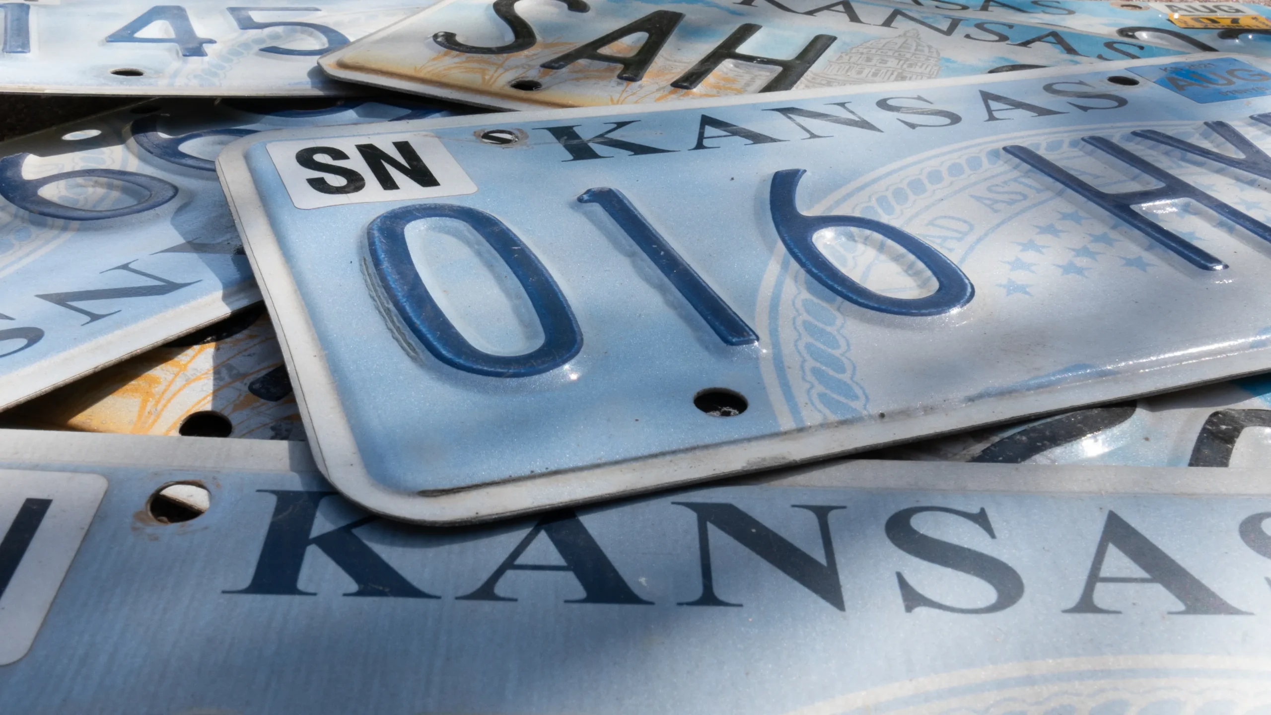 Georgia’s Most Popular Custom License Plate: UGA’s “Go Dawgs” Tag