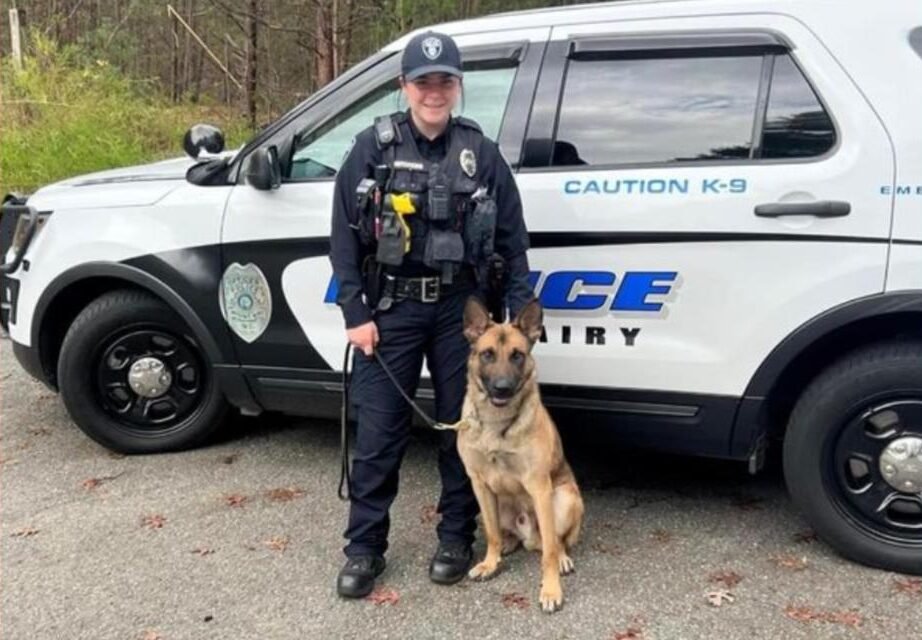 Remembering K9 Draco: Mount Airy Police Dog Honored in National Memorial Run