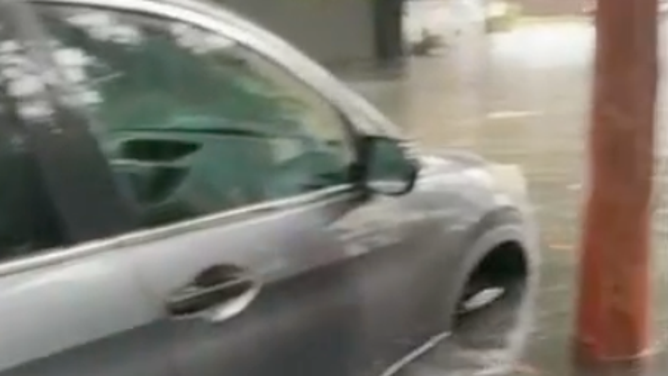 Charleston Woman Shocked After Flood-Carried Vehicle Ticketed Multiple Times