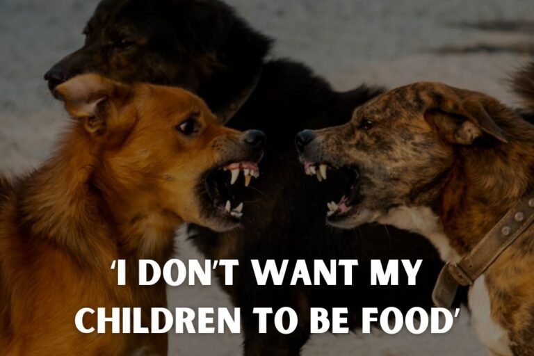 Texas Town Alarmed as Pack of Feral Dogs Grows Larger: ‘I Don’t Want My Children to Be Food’