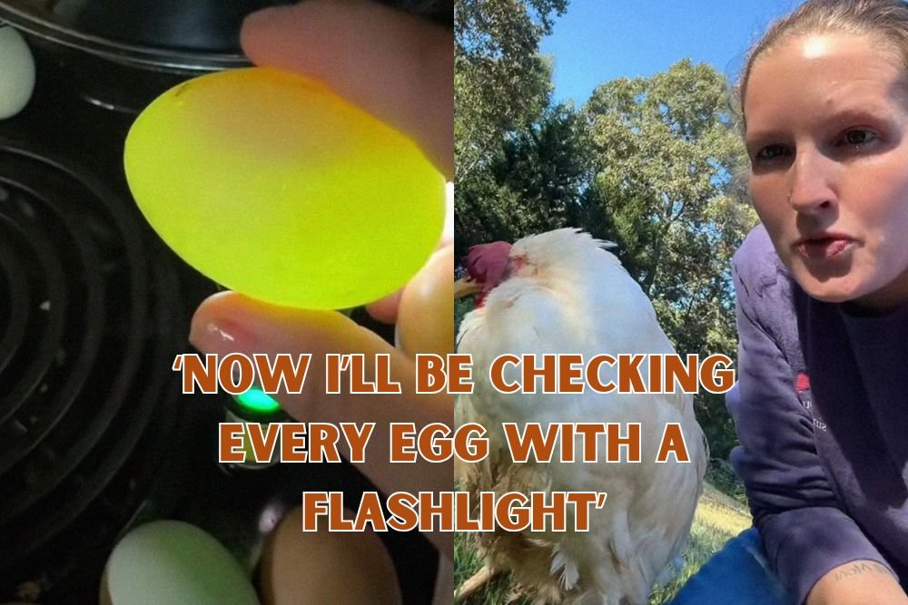 ‘Now I’ll Be Checking Every Egg With A Flashlight’