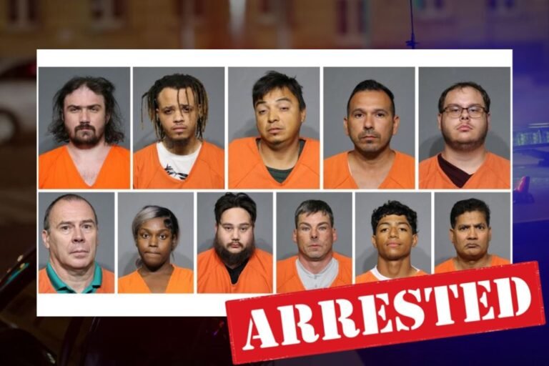 11 Arrested in South Carolina Online Child Predator Sting Operation