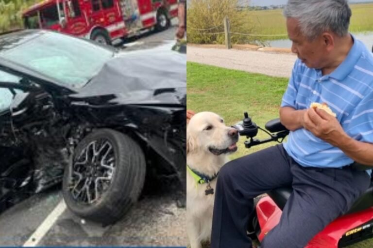 76-Year-Old Man In Wheelchair Hit And Killed In Charlotte