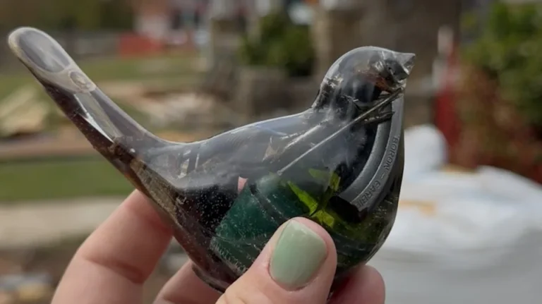 North Carolina Artist Transforms Helene’s Broken Glass Into ‘Bluebirds of Hope’