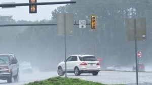 Not Using Your Turn Signal Illegal in North Carolina? Here’s What the Law Says