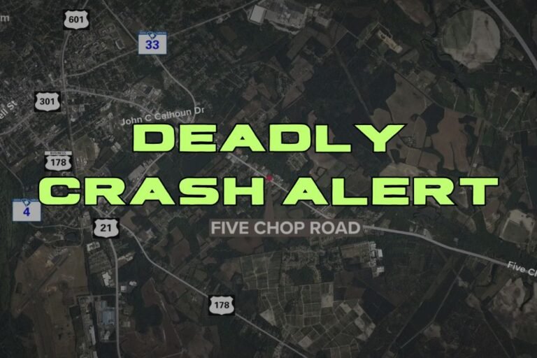 Deadly Crash Alert