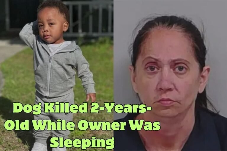Dogs Kill 2-Year-Old Boy at Unlicensed Georgia Daycare While Owner Slept