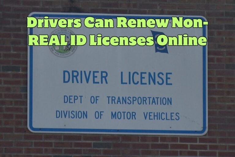 Drivers Can Renew Non-REAL ID Licenses Online