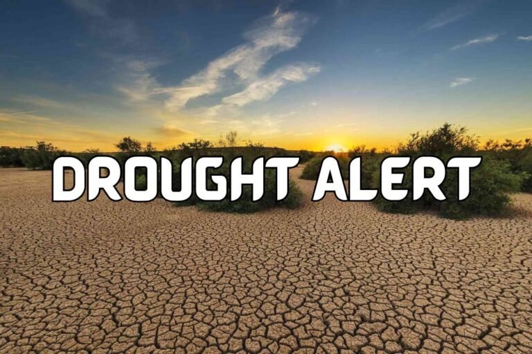 Drought Alert