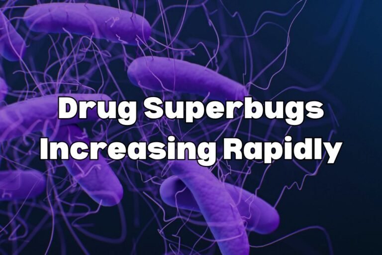 Drug Superbugs Increasing Rapidly