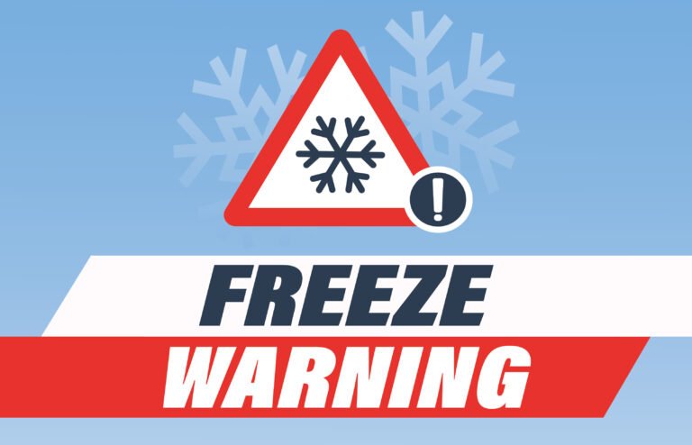 Freeze Watch Issued for Western Colorado as Temperatures Drop to 28°F