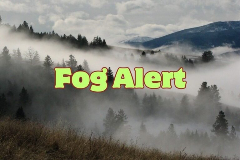 Fog Alert