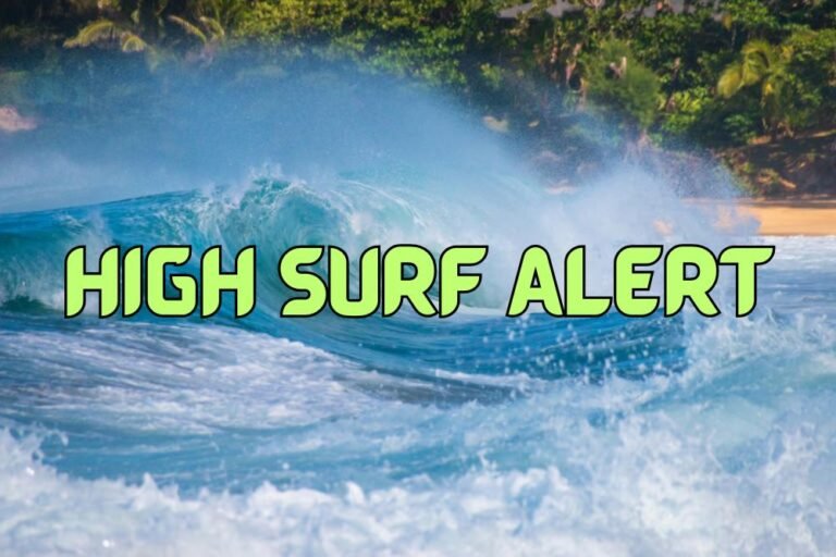 High Surf Alert