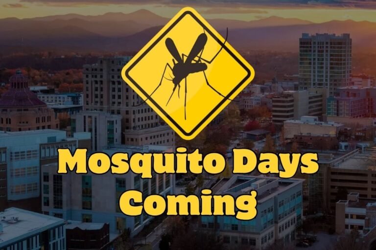 Mosquito Days Coming