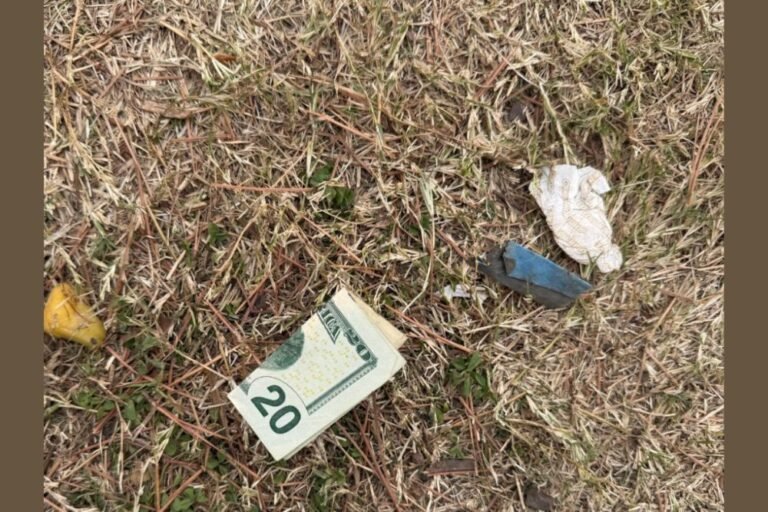 N.C. State Fair Visitor’s Day Turns Into Lucky Streak With Free Tickets and Found Cash