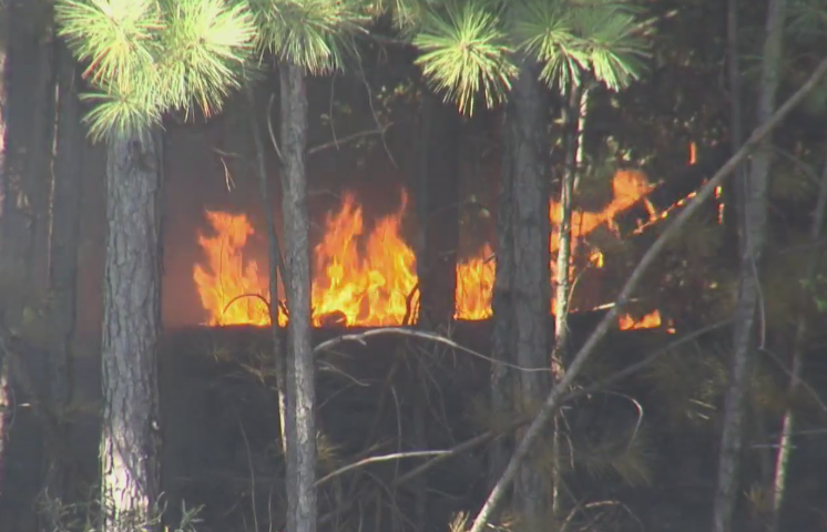 Several Brush Fires Along I-540 in North Carolina ‘Intentionally Set,’ Deputies Say