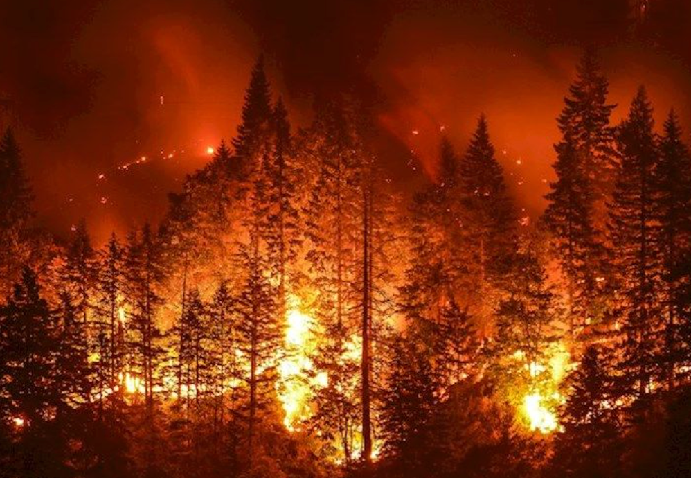 Wildfire Alert