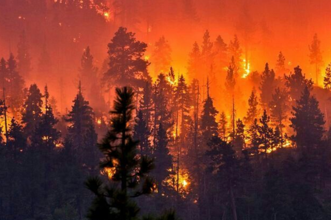 Fire Danger Alert