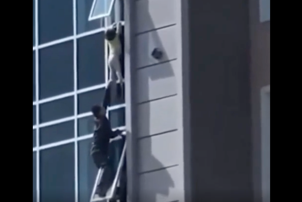 https://www.reddit.com/r/HumansBeingBros/comments/1oeq8x1/man_risks_his_life_saving_a_little_child_from/