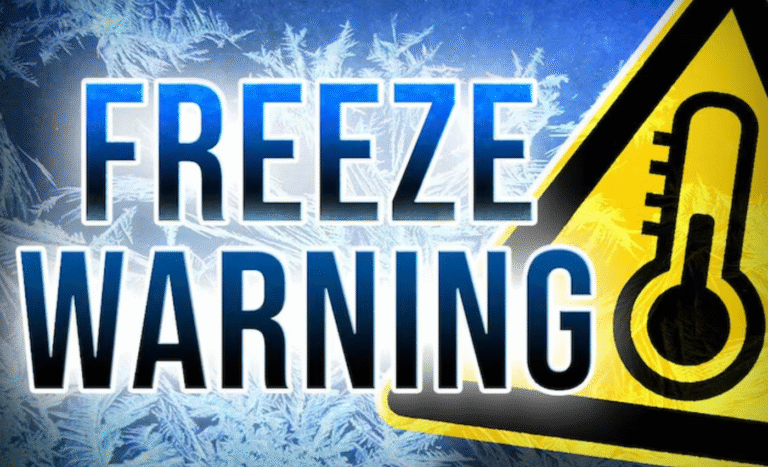 Freeze Warning Issued for Charleston, West Virginia as Temperatures Drop to 29°