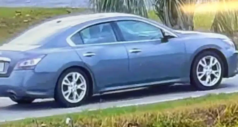 Florence County Deputies Seek Vehicle Linked to Missing Dog Near Lake City