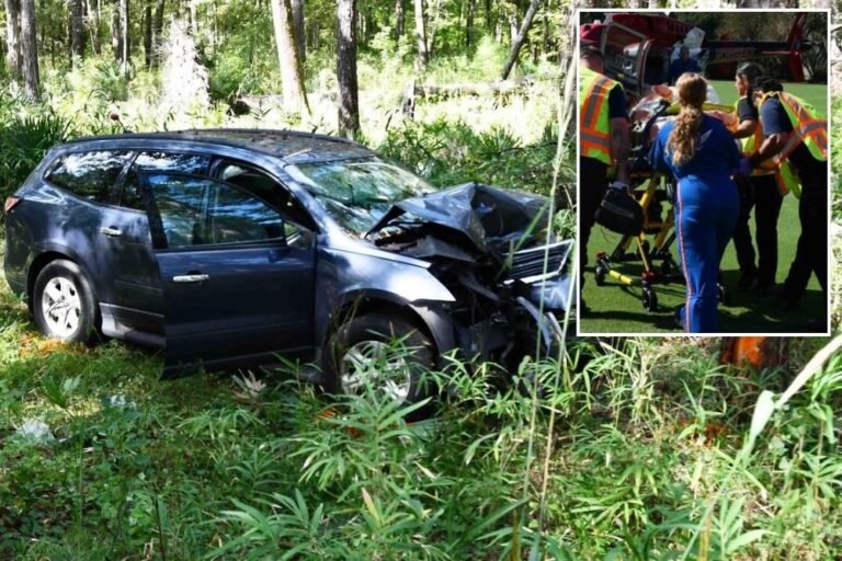 South Carolina Woman Airlifted After High-Speed Crash on Remote Rural Road; Troopers Investigating