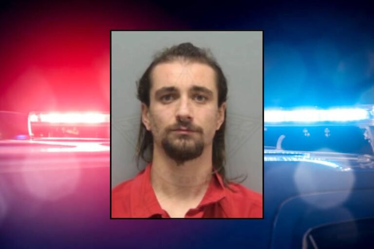 South Florida Man Charged With Beating Girlfriend’s Cats After Hidden Camera Captures Shocking Abuse