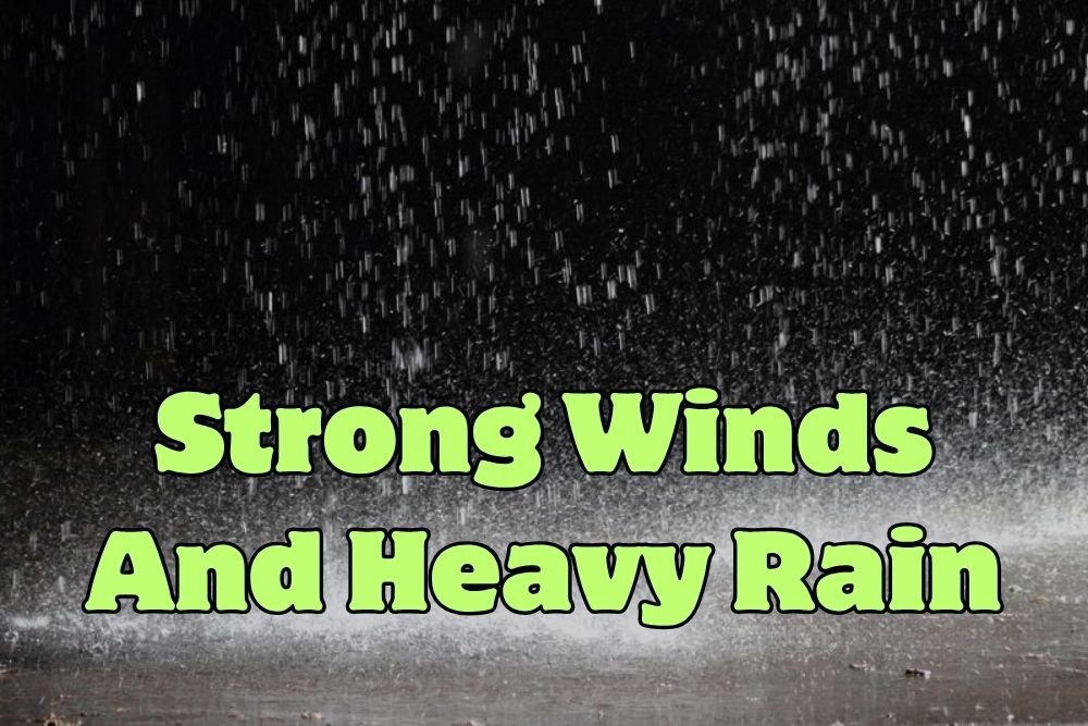 Strong Winds And Heavy Rain