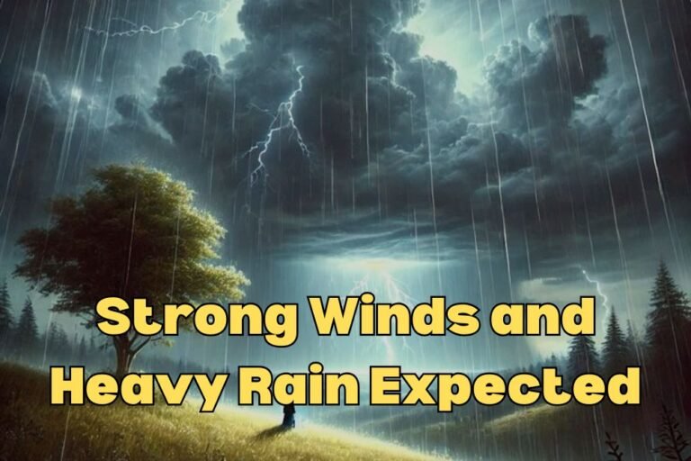 Strong Winds and Heavy Rain Expected