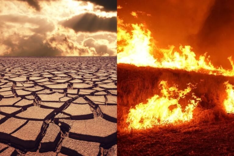 Tampa Records Driest September Since 1890, Raising Drought and Wildfire Concerns