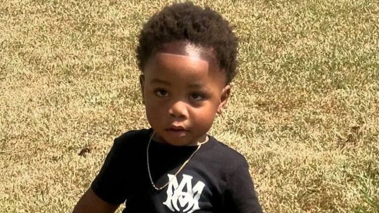 2-Year-Old Killed in Dog Attack After Being Left Alone by Babysitter in Valdosta