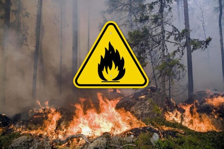 Weather Alert: Fire Danger