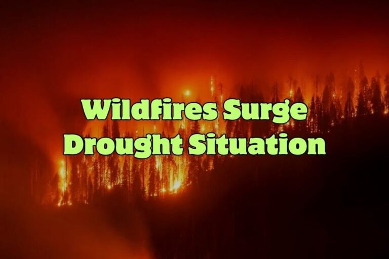Wildfires Surge Drought Situation